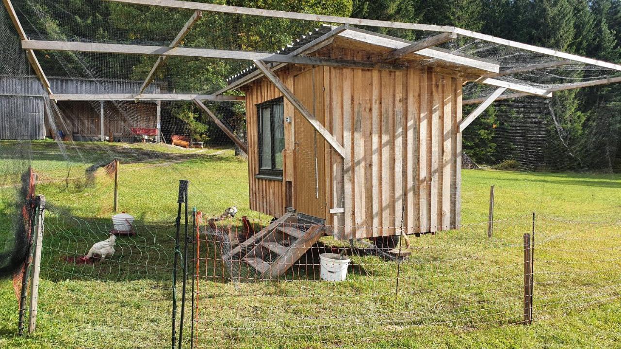 Ferienhaus Buxbaum Arbesbach エクステリア 写真