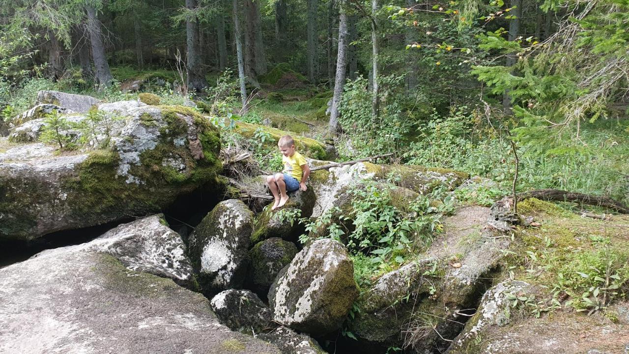 Ferienhaus Buxbaum Arbesbach エクステリア 写真