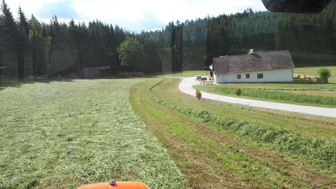 Ferienhaus Buxbaum Arbesbach エクステリア 写真